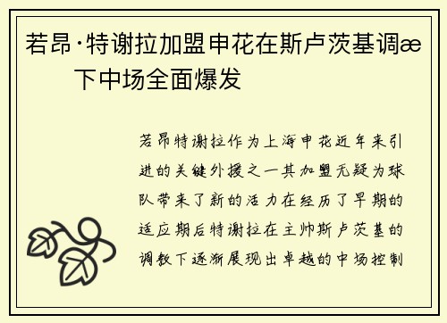 若昂·特谢拉加盟申花在斯卢茨基调教下中场全面爆发